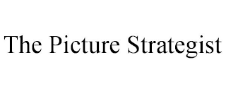 THE PICTURE STRATEGIST