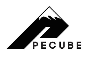 PECUBE