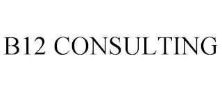 B12 CONSULTING