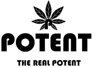 P POTENT THE REAL POTENT