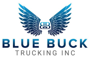 BB BLUE BUCK TRUCKING INC