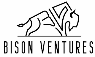 BISON VENTURES