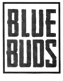 BLUE BUDS