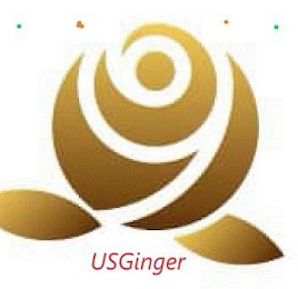 USGINGER