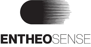ENTHEOSENSE