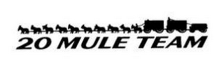 20 MULE TEAM