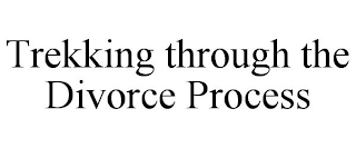 TREKKING THROUGH THE DIVORCE PROCESS