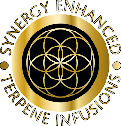 SYNERGY ENHANCED  TERPENE INFUSIONS