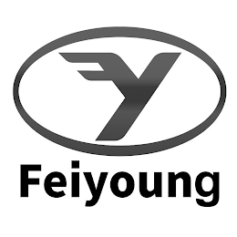 FY FEIYOUNG