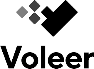 VOLEER