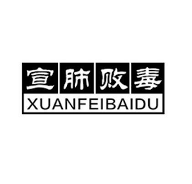 XUANFEIBAIDU