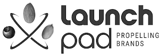 LAUNCH PAD