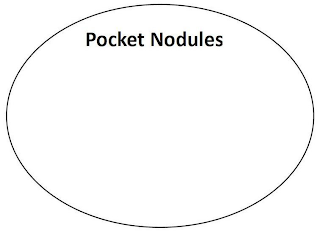 POCKET NODULES