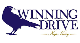 WINNING DRIVE - NAPA VALLEY -