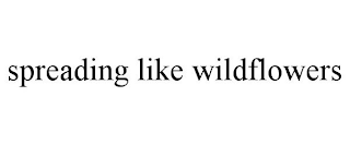 SPREADING LIKE WILDFLOWERS