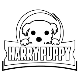 HARRY PUPPY