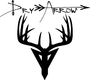 DRY ARROW