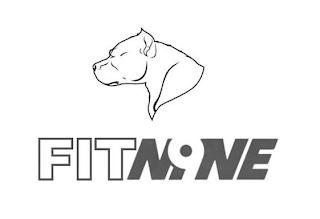 FITNI9NE