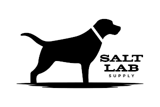 SALT LAB SUPPLY