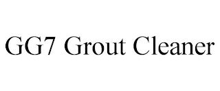 GG7 GROUT CLEANER