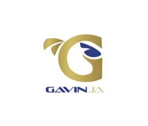 G GAVINJA