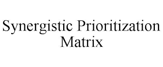 SYNERGISTIC PRIORITIZATION MATRIX