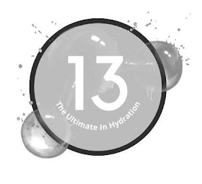 13 THE ULTIMATE IN HYDRATION