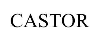 CASTOR