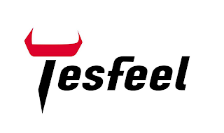 TESFEEL