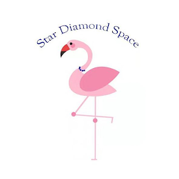 STAR DIAMOND SPACE