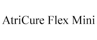 ATRICURE FLEX MINI