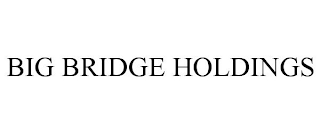 BIG BRIDGE HOLDINGS