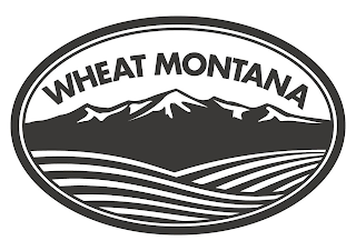 WHEAT MONTANA