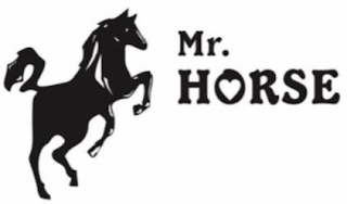 MR. HORSE