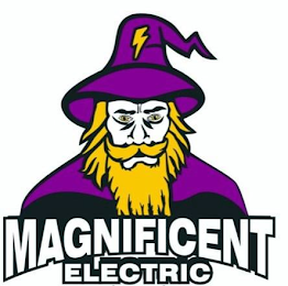 MAGNIFICENT ELECTRIC