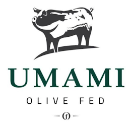 UMAMI OLIVE FED F