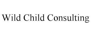 WILD CHILD CONSULTING