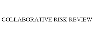 COLLABORATIVE RISK REVIEW