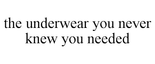 THE UNDERWEAR YOU NEVER KNEW YOU NEEDED