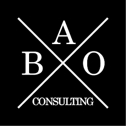 X BAO CONSULTING