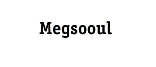 MEGSOOUL