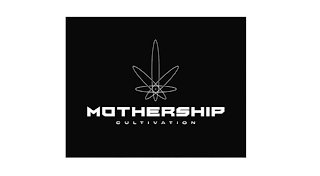 MOTHERSHIP CULTIVATION