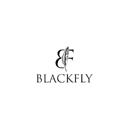 B F BLACKFLY