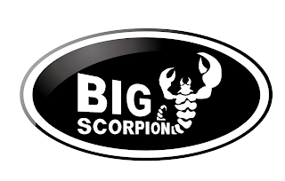 BIG SCORPION