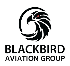 BLACKBIRD AVIATION GROUP