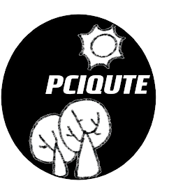 PCIQUTE