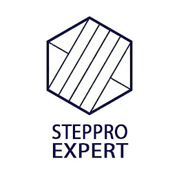 STEPPRO EXPERT