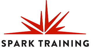 SPARK TRAINING