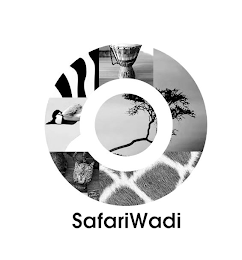 SAFARIWADI