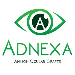 A ADNEXA AMNION OCULAR GRAFTS